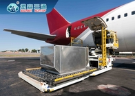 Luftfracht-Eilversandmittel Air Shipment von China zu USA Großbritannien Kanada Amazonas FBA