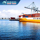 Berufs-LCL FCL Dienstleistungen des internationalen Export-Import-Spediteurs-