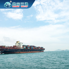 China zum Australien-Seeverschiffen-Spediteur Amazonas Dropship zu Europa