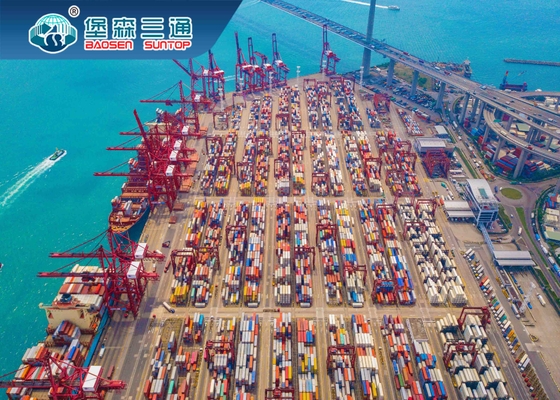 Internationl-Seereederei, Seefracht China der besten Raten-LCL